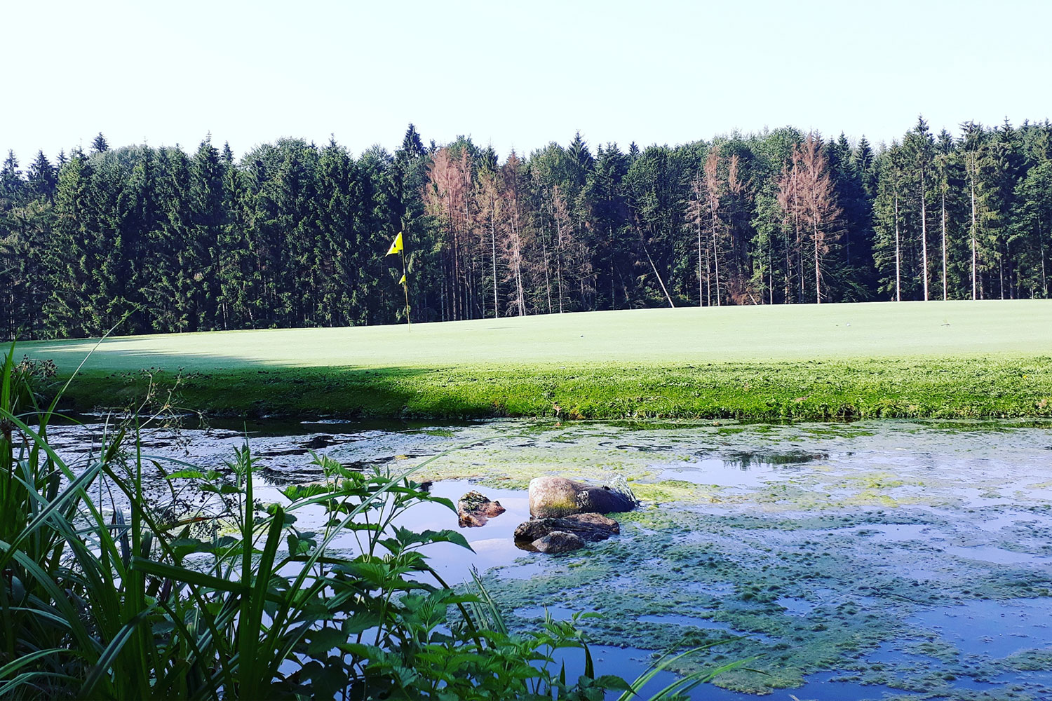 Golf-Course im Bayerischen Wald, Golf- und Landclub Bayerwald e.V.