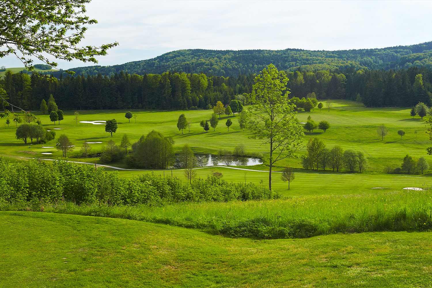 Golfclub Böhmerwald, Ulrichsberg
