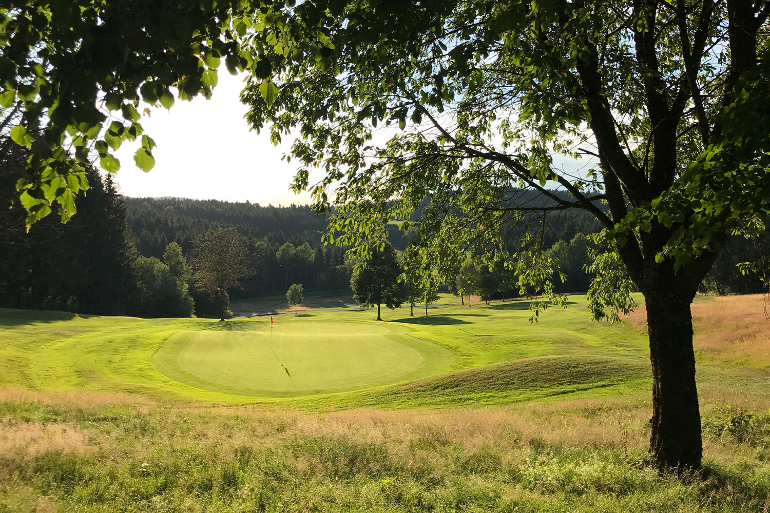Golfplatz im Golfclub Böhmerwald, Österreich